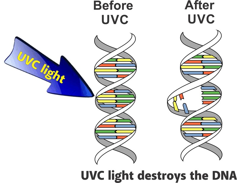 product-UV-C Germicidal Lamp UVGI For HVAC Coils Disinfection-RUIHE DR AIRE-img